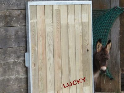 LUCKY2